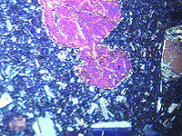 {short description of image}