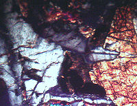 {short description of image}