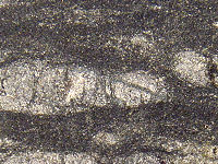 {short description of image}