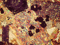 {short description of image}