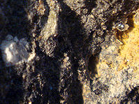{short description of image}