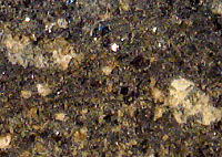 {short description of image}