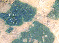 {short description of image}