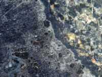 {short description of image}