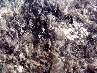 {short description of image}
