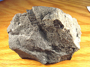 {short description of image}