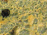 {short description of image}