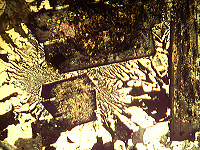 {short description of image}