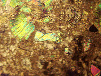 {short description of image}