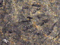 {short description of image}