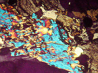 {short description of image}
