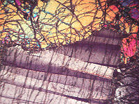 {short description of image}