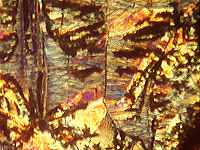 {short description of image}
