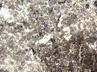 {short description of image}