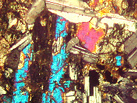 {short description of image}