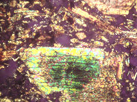{short description of image}