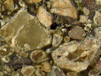 {short description of image}