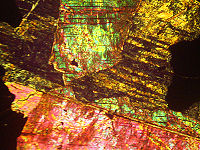 {short description of image}